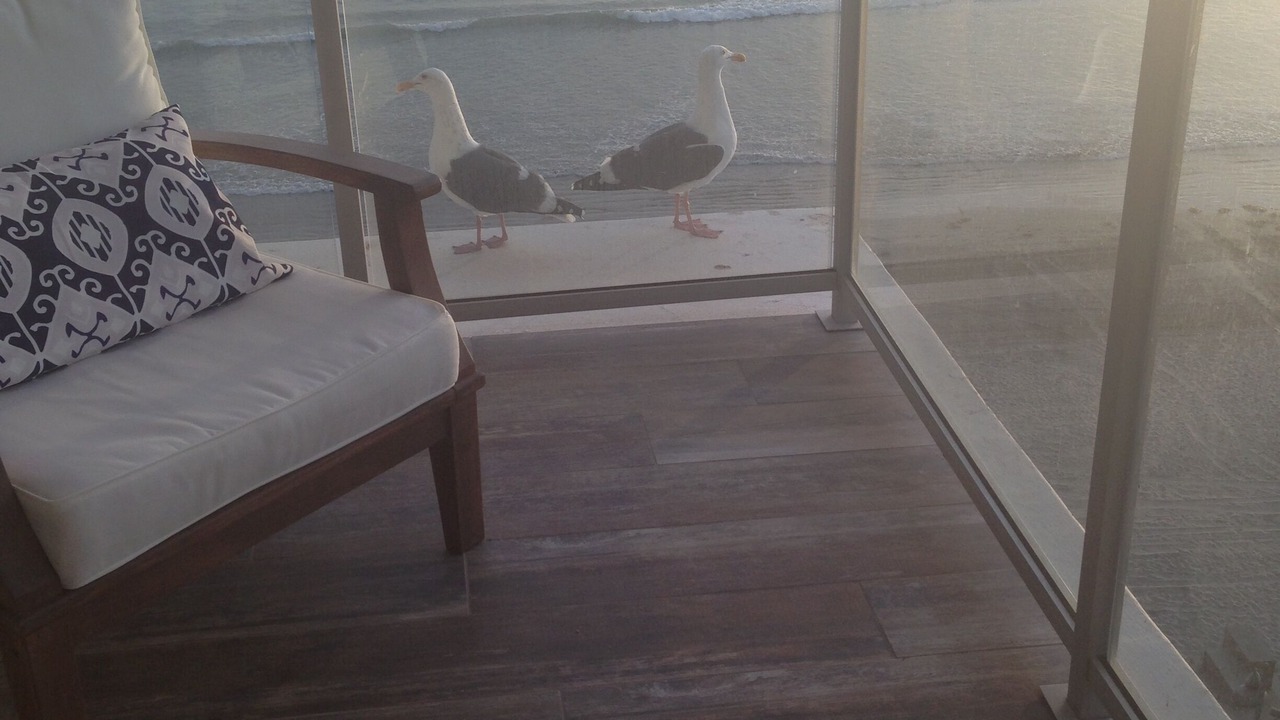 Photo of Others in Coronado