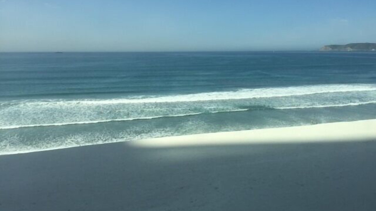 Photo of Others in Coronado