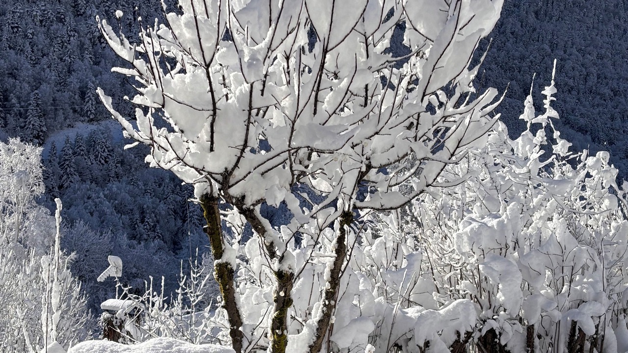 Photo of Outdoor in Cadeilhan-Trachere