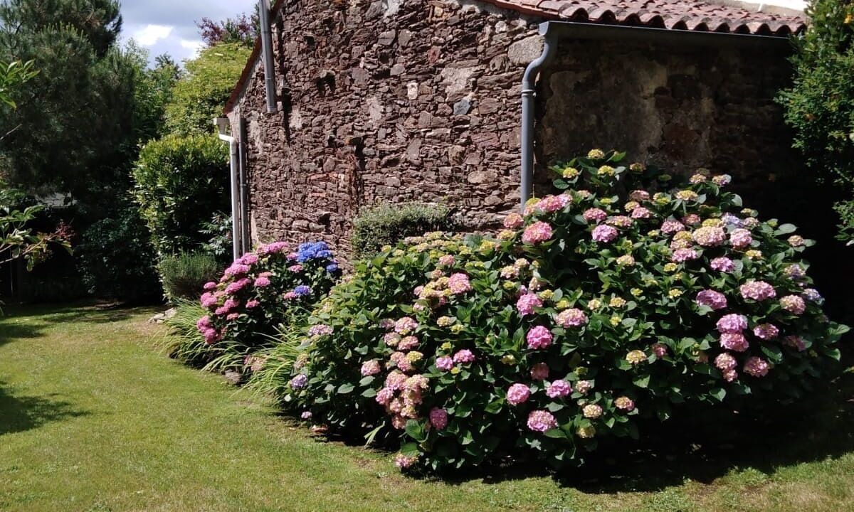 Photo of Outdoor in Saint-Vincent-sur-Graon