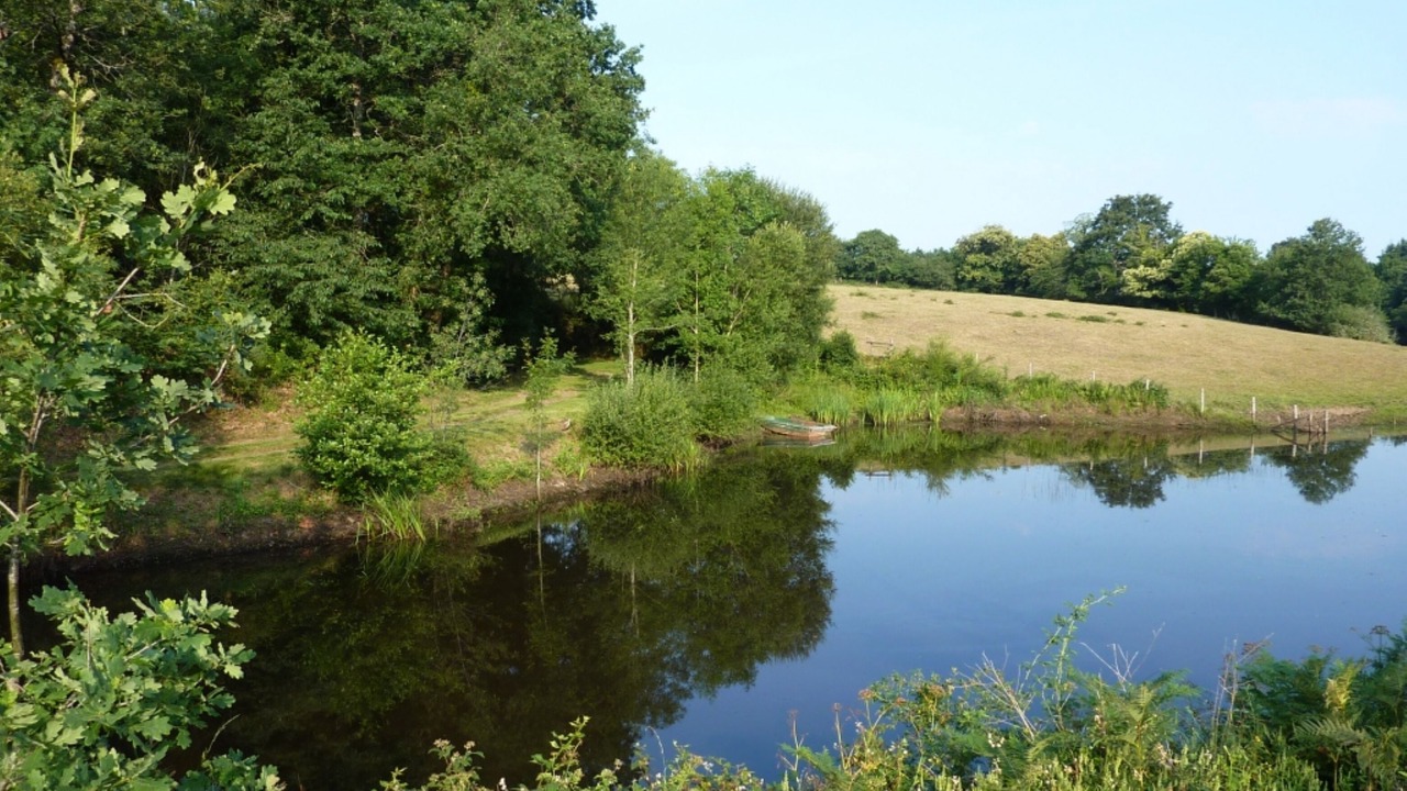 Photo of Outdoor in Saint-Vincent-sur-Graon