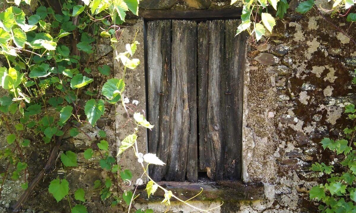 Photo of Others in Saint-Vincent-sur-Graon