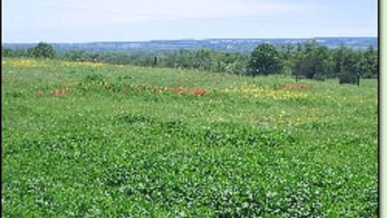 Photo of Outdoor in Elmore City
