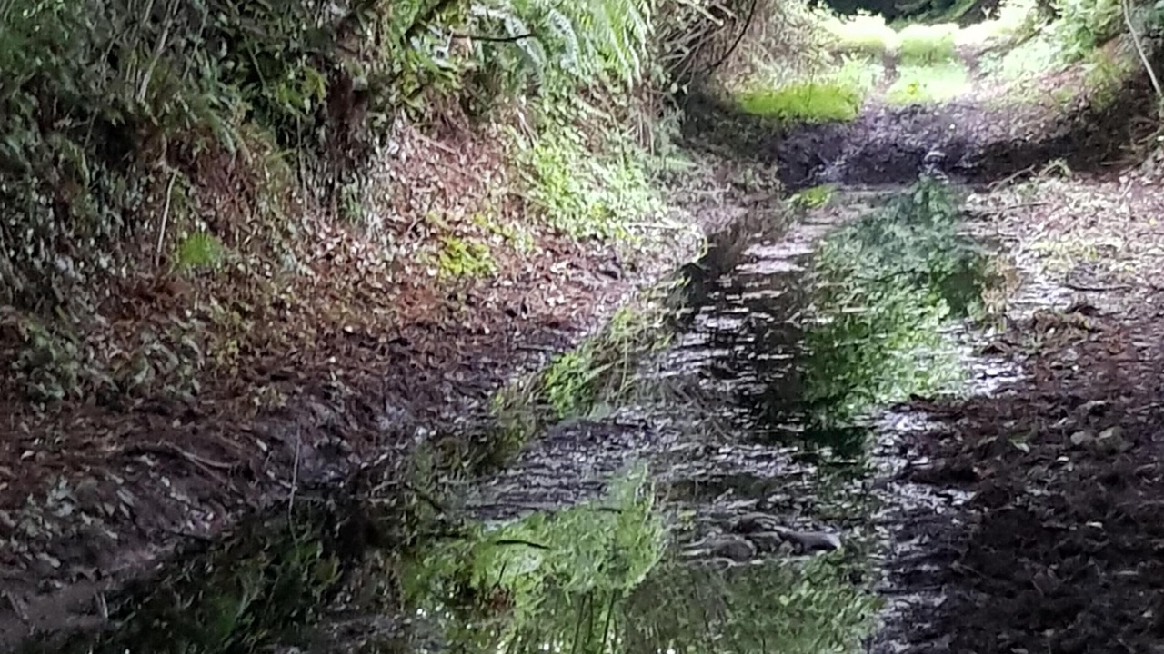 Photo of Outdoor in Champcervon