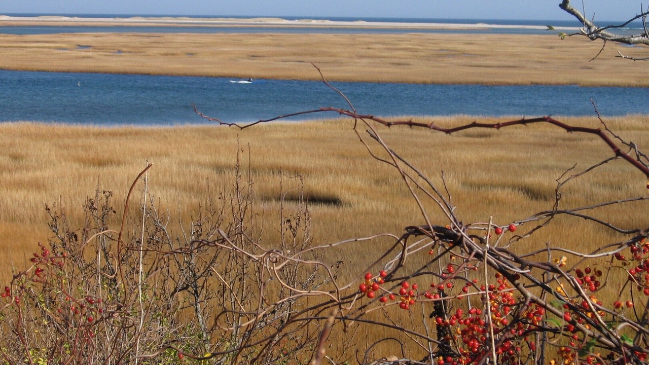 Photo of Others in Eastham