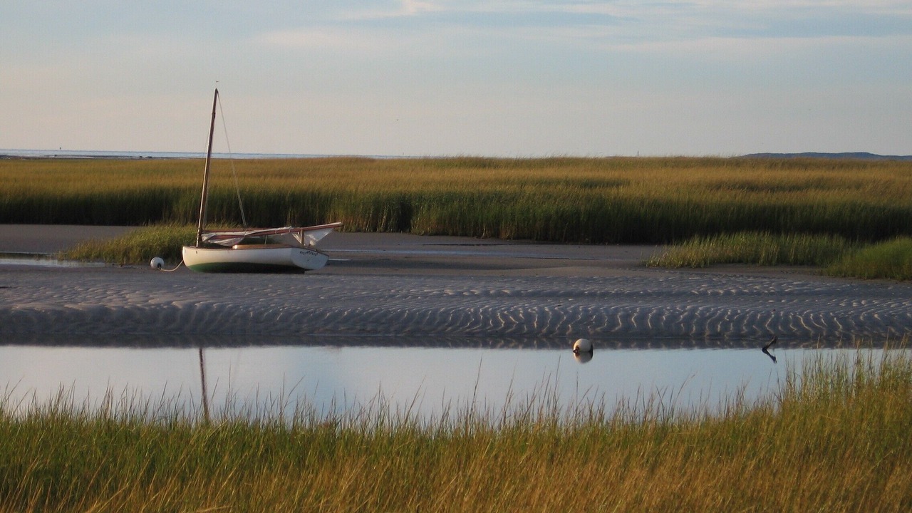 Photo of Others in Eastham