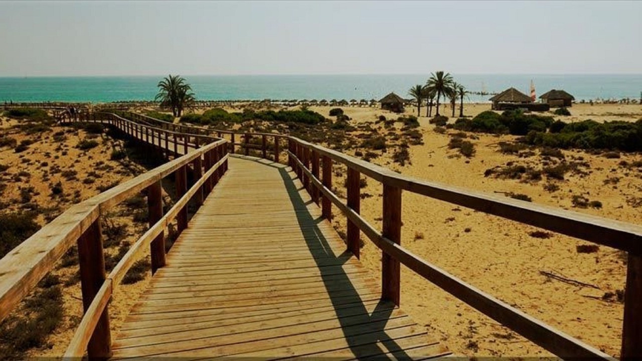 Photo of Others in Gran Alacant