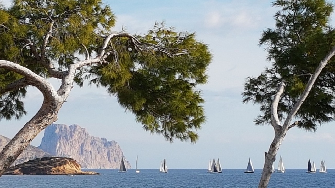 Photo of Others in Altea