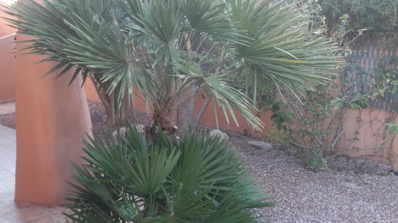 Photo of Outdoor in Fortuna