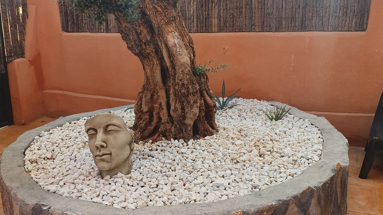 Photo of Outdoor in Fortuna