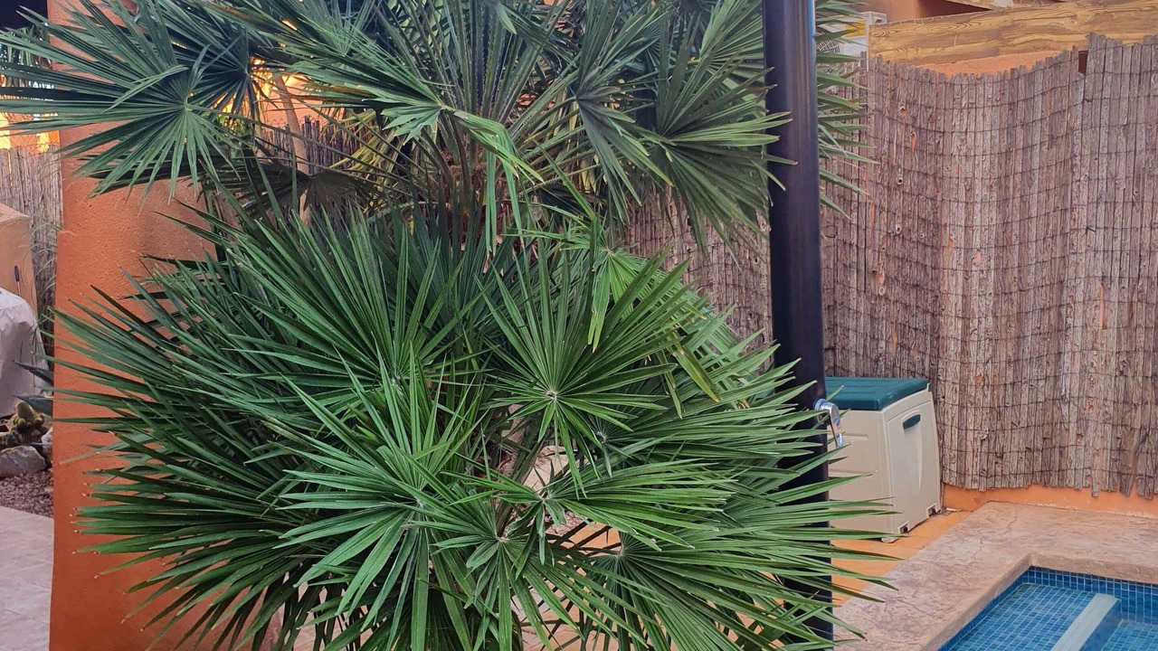 Photo of Outdoor in Fortuna