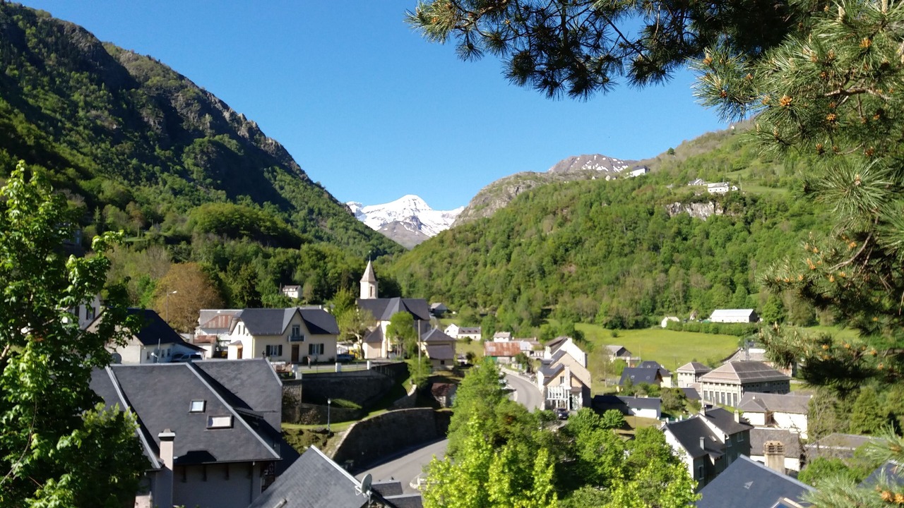 Photo of Others in Gedre