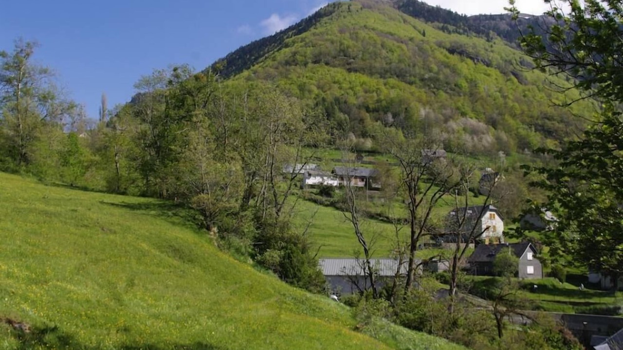 Photo of Others in Gedre