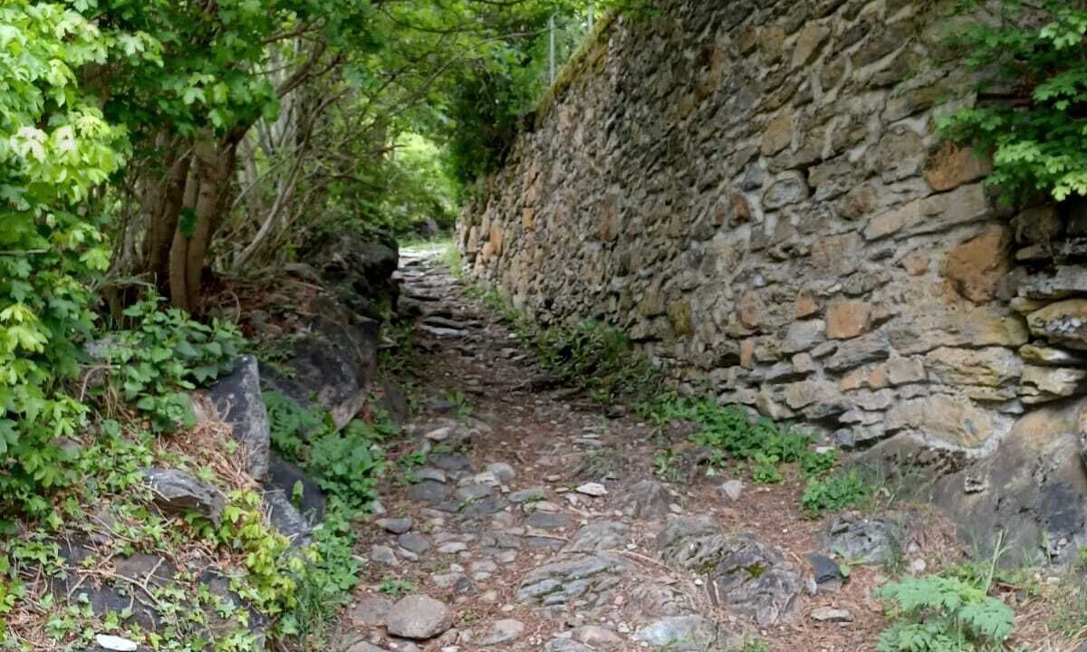 Photo of Outdoor in Gedre