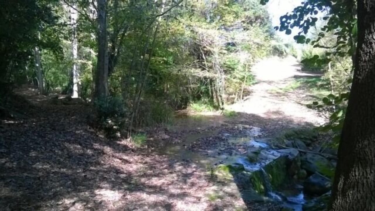 Photo of Outdoor in Sant Esteve de Llemena