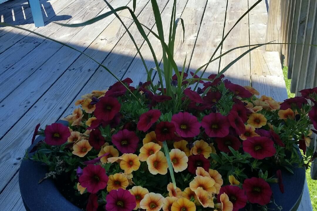 Photo of Patio Balcony in Eastport
