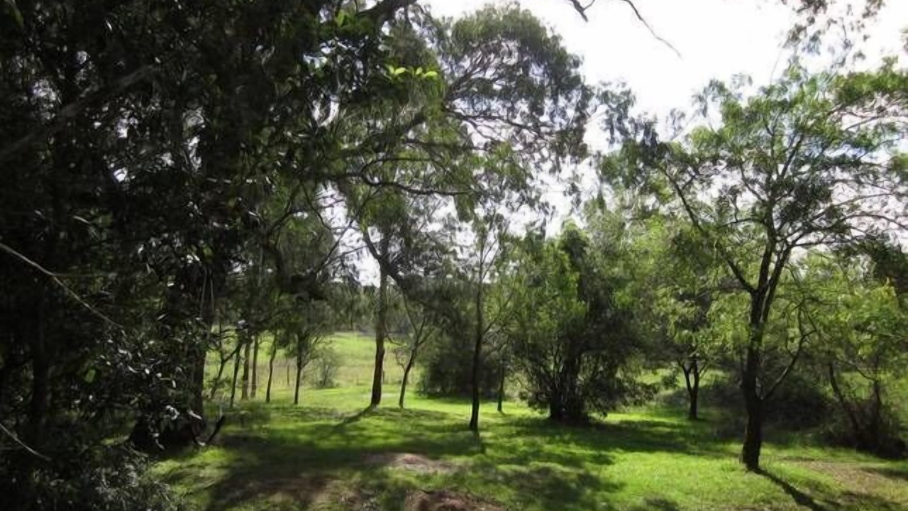 Photo of Outdoor in Bundanoon