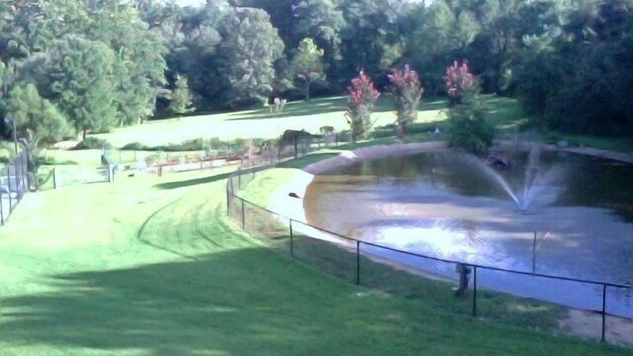 Photo of Outdoor in Oakton