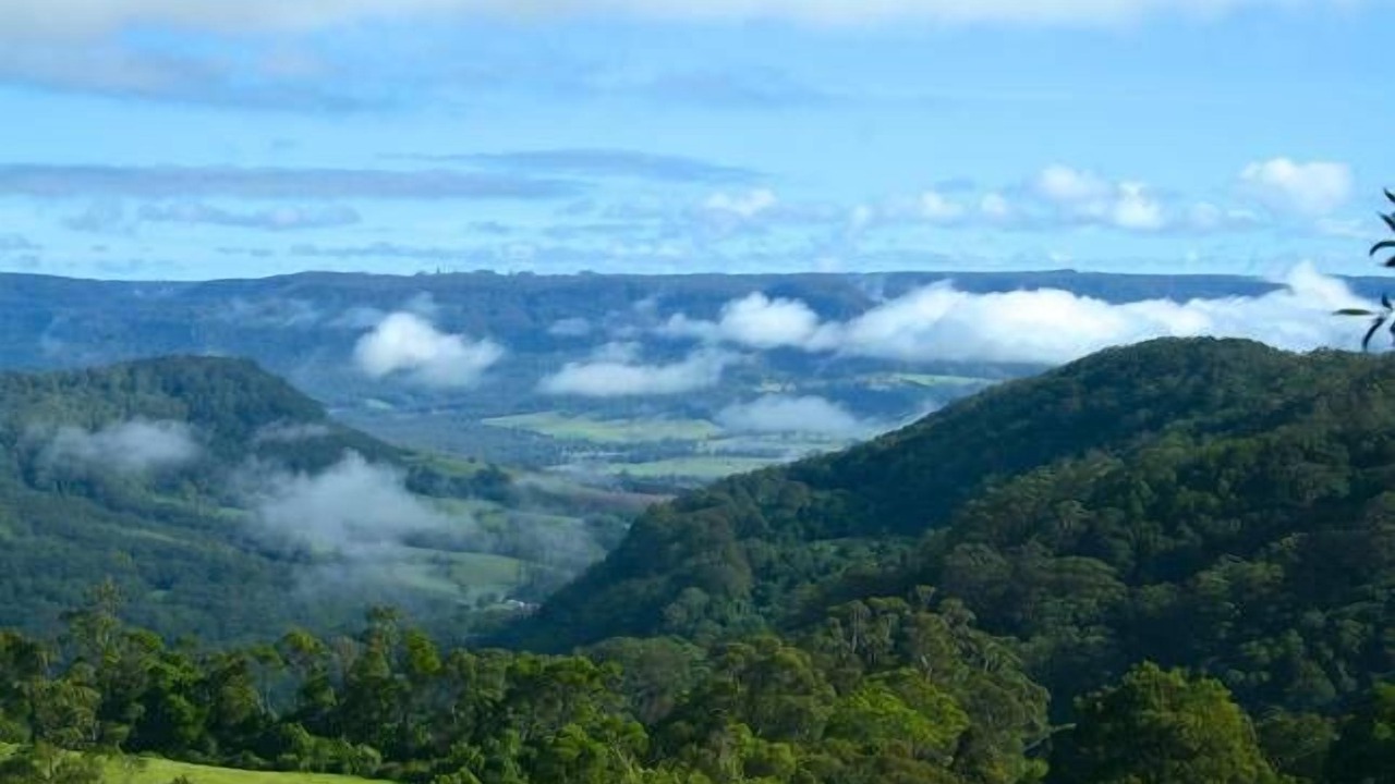 Photo of Others in Beaumont