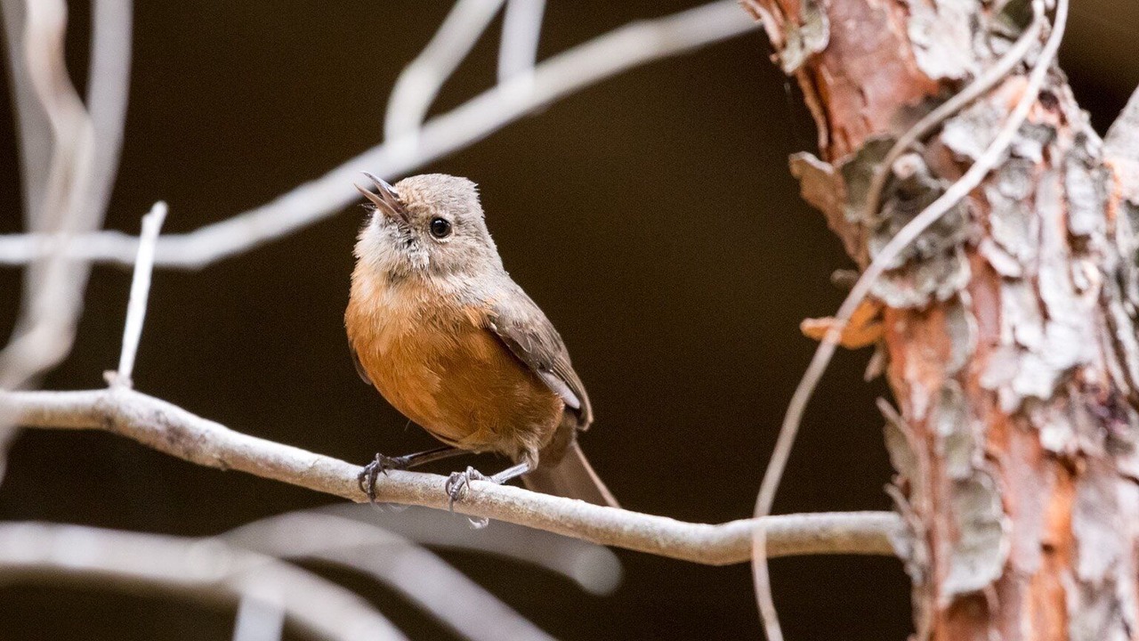 Photo of Others in Beaumont
