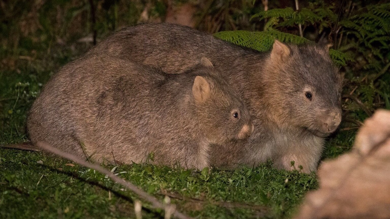 Photo of Others in Beaumont