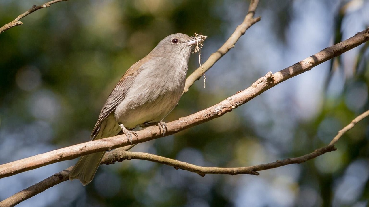 Photo of Outdoor in Beaumont