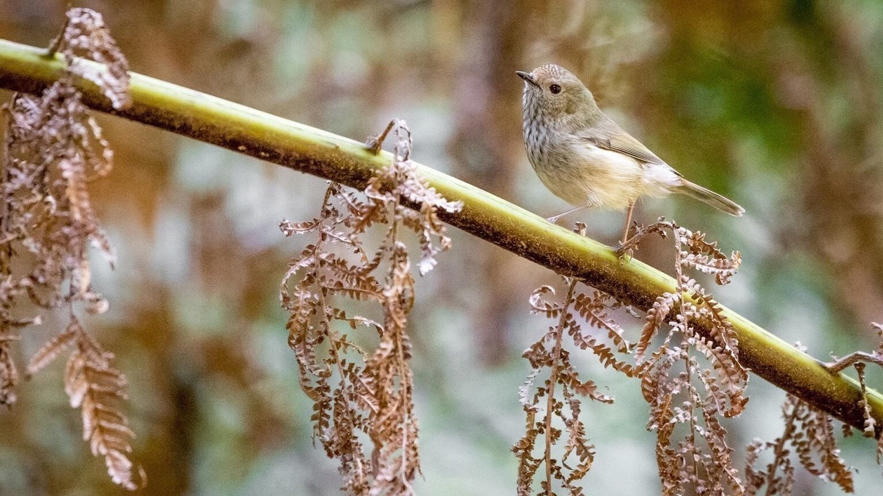 Photo of Outdoor in Beaumont