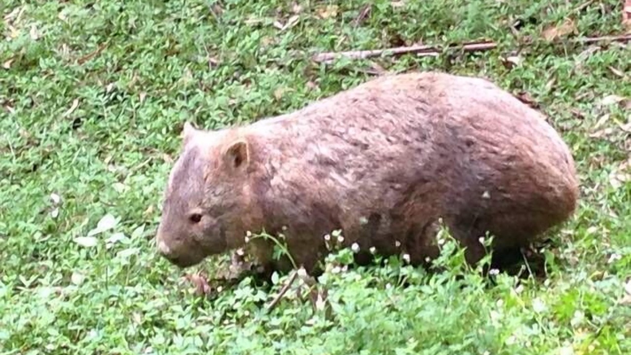 Photo of Outdoor in Beaumont