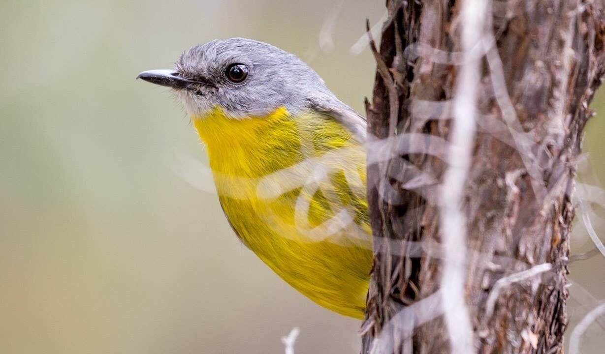 Photo of Others in Beaumont