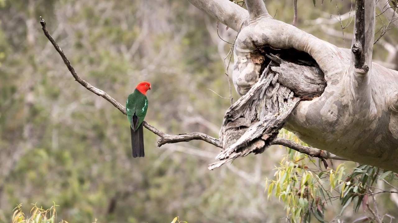 Photo of Outdoor in Beaumont