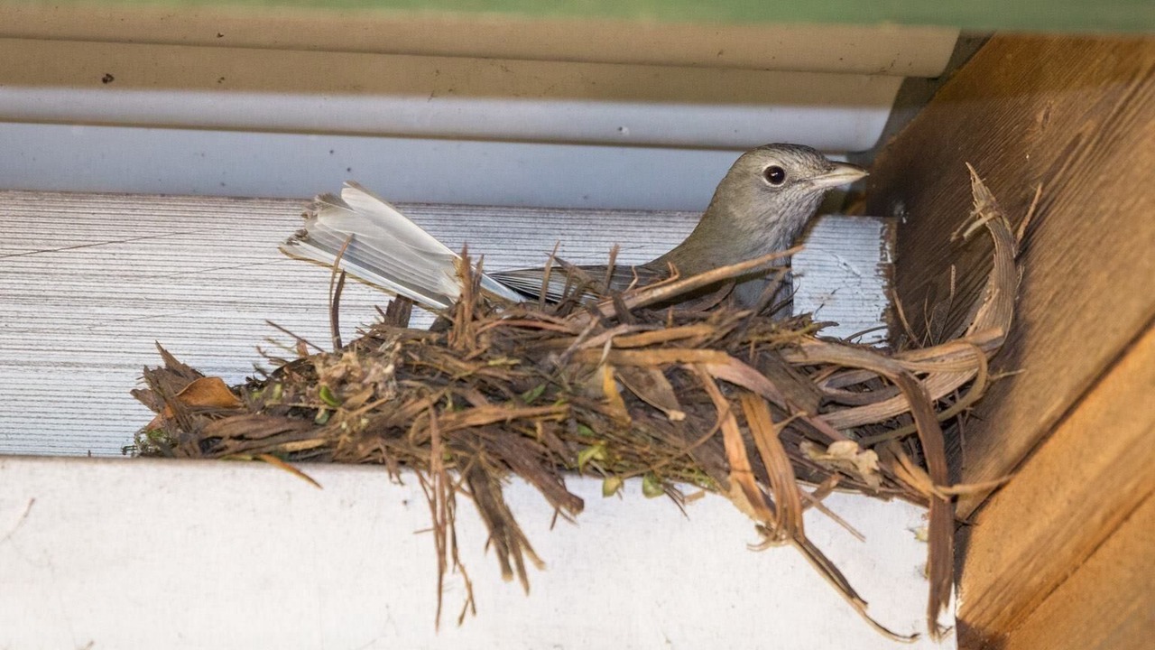 Photo of Outdoor in Beaumont