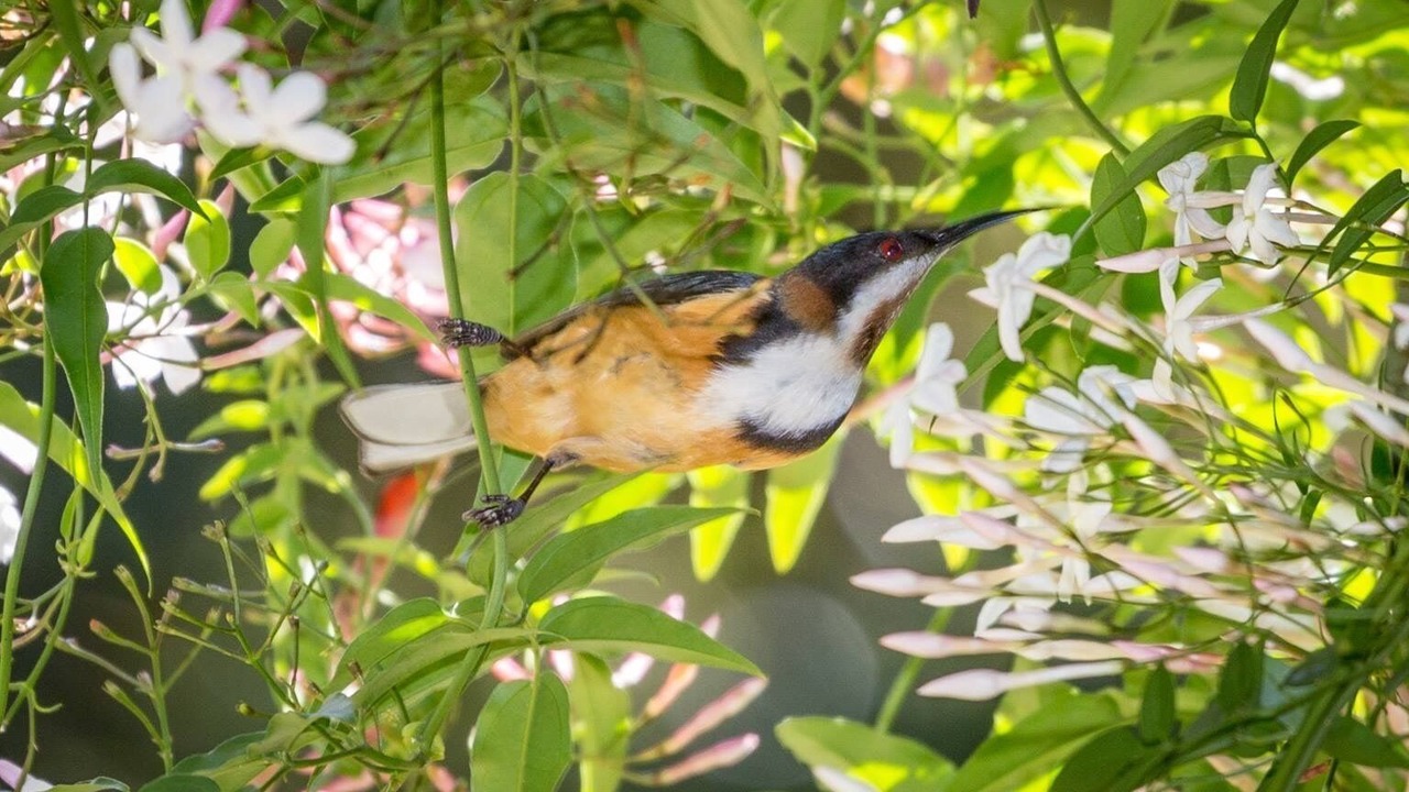 Photo of Outdoor in Beaumont