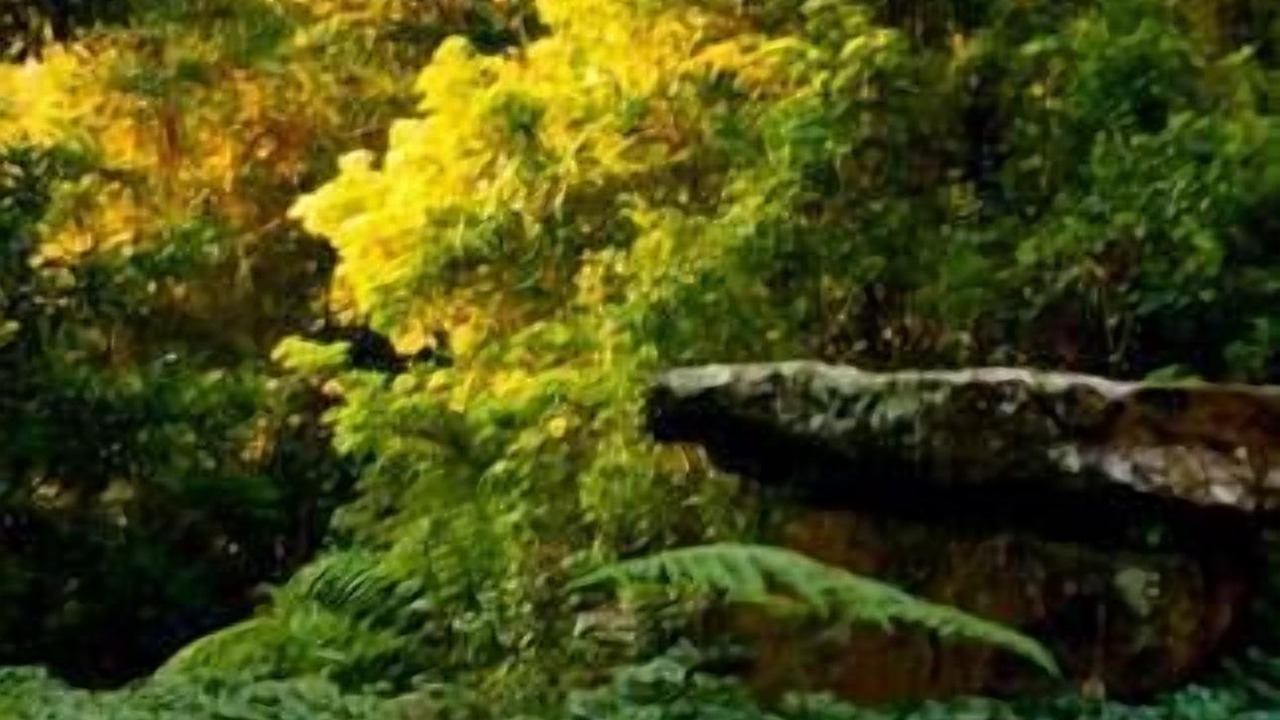 Photo of Outdoor in Beaumont