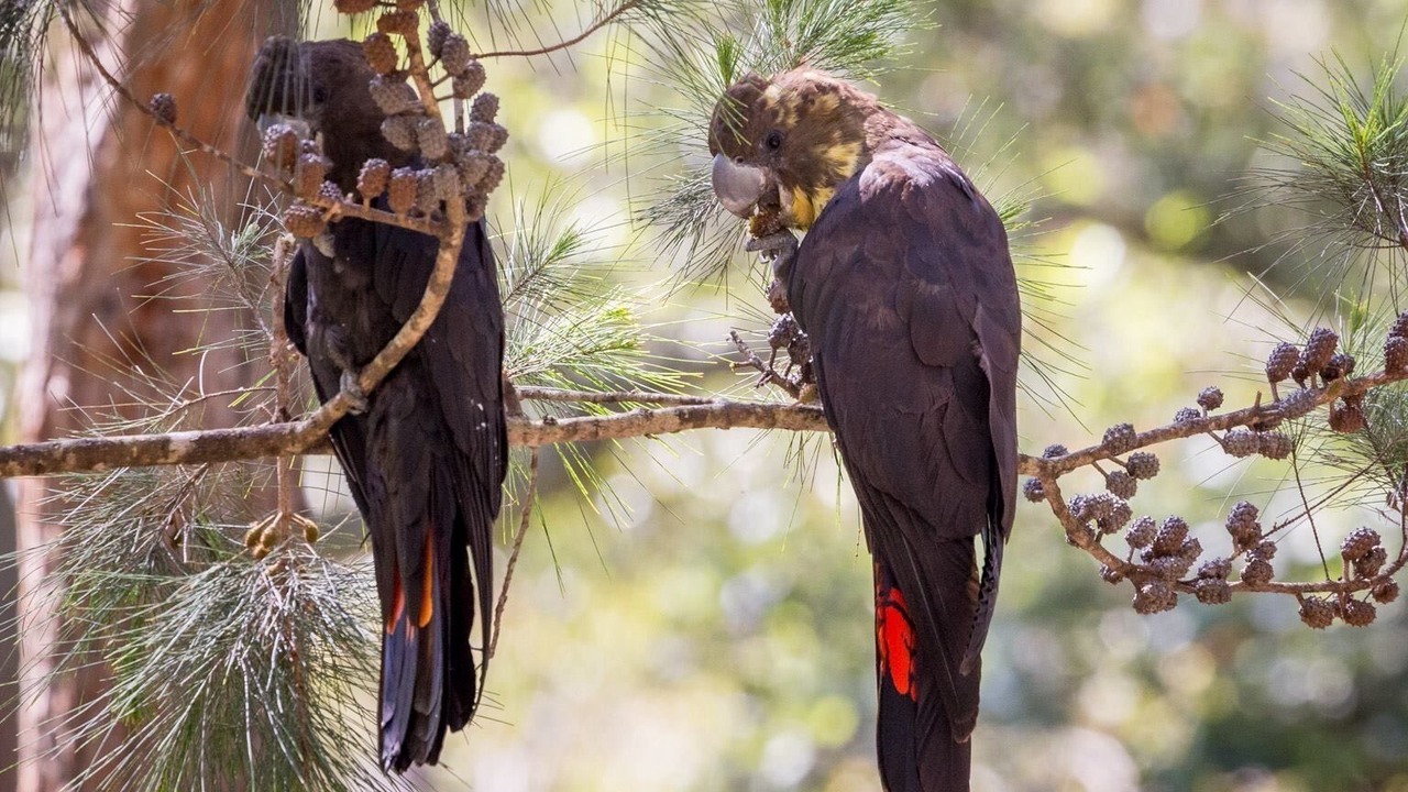 Photo of Outdoor in Beaumont