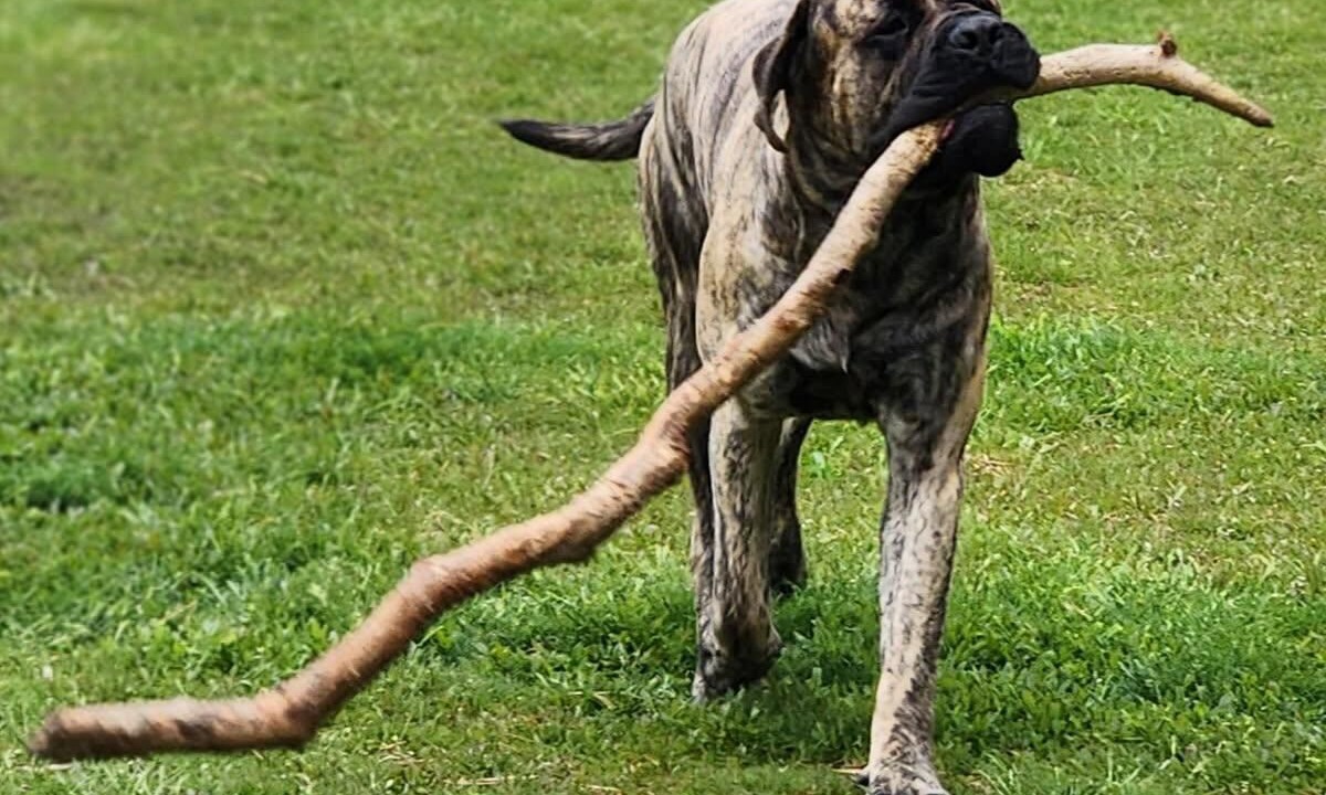 Photo of Others in Cape May