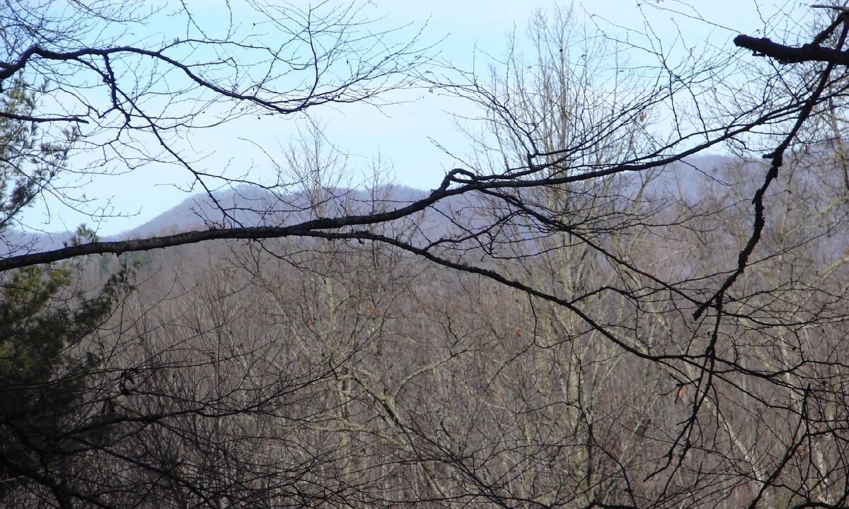 Photo of Others in Sylva