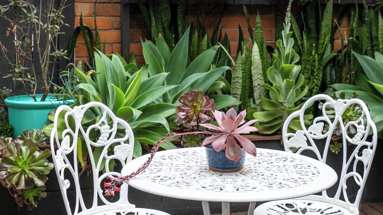 Photo of Outdoor in Manly Vale