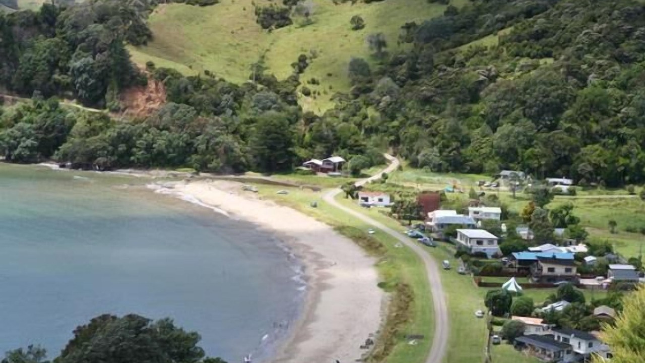 Photo of Others in Port Charles