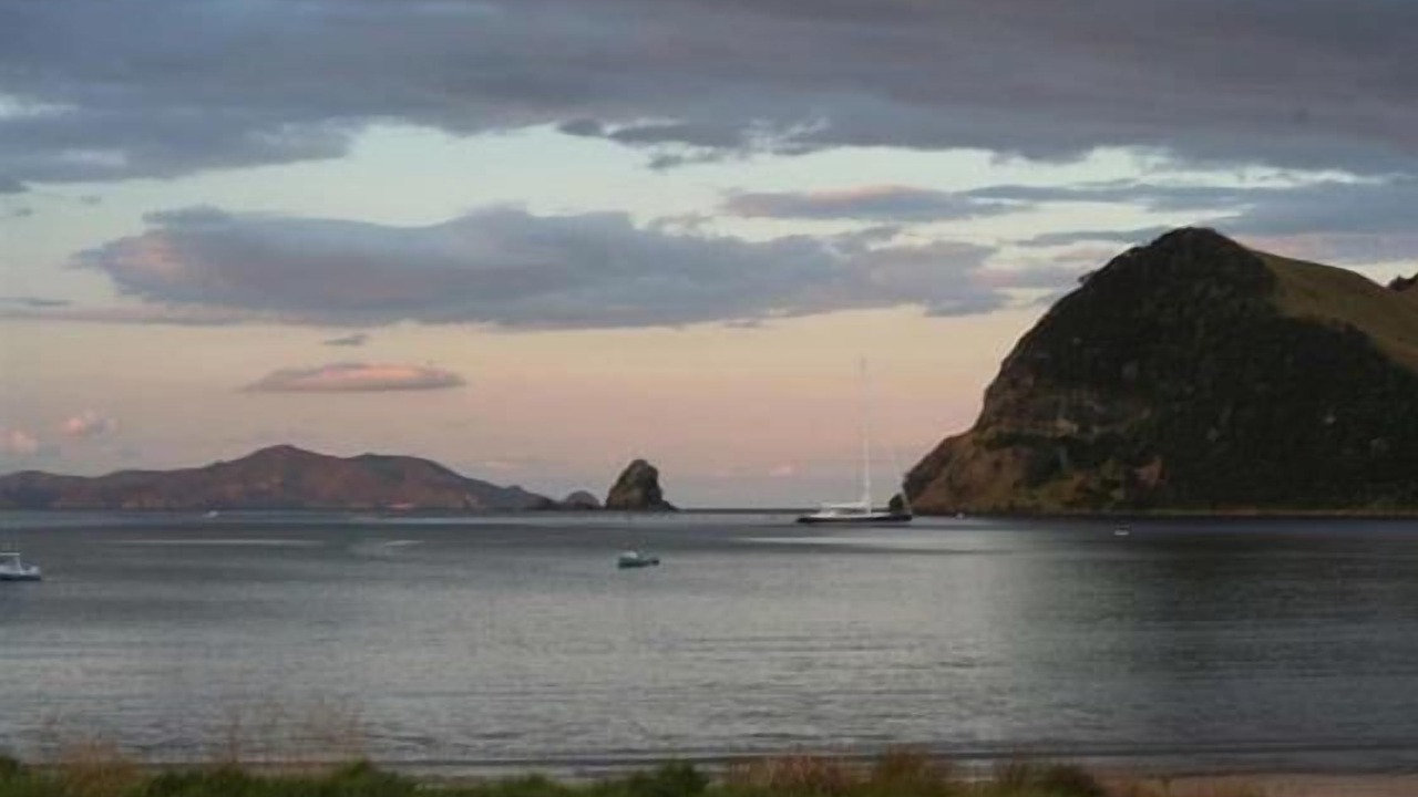 Photo of Others in Port Charles