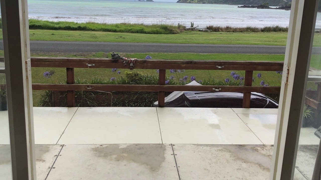 Photo of Others in Port Charles