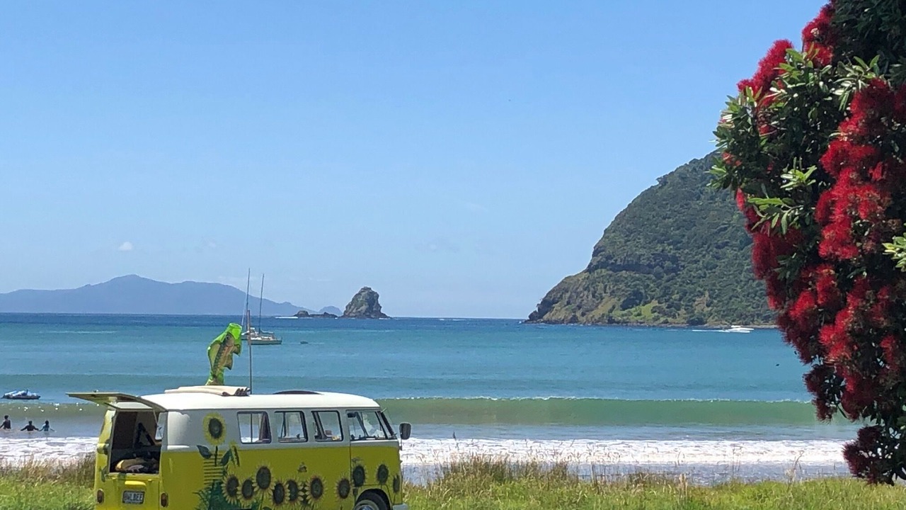 Photo of Others in Port Charles