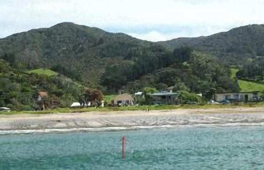 Photo of Others in Port Charles