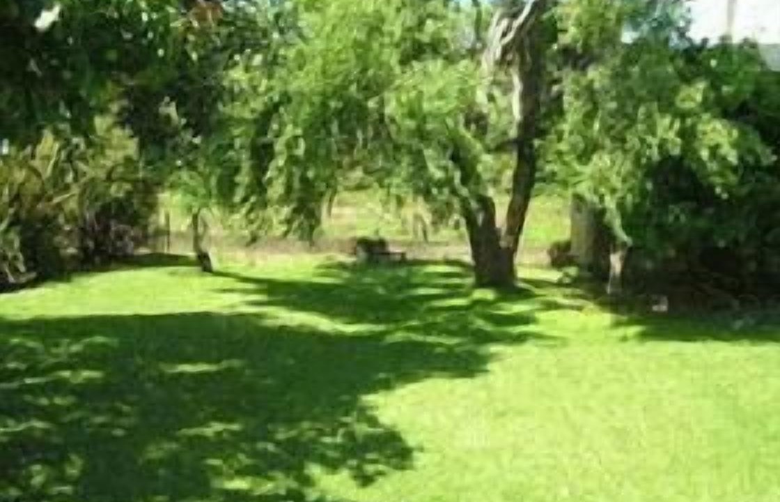 Photo of Outdoor in Port Charles