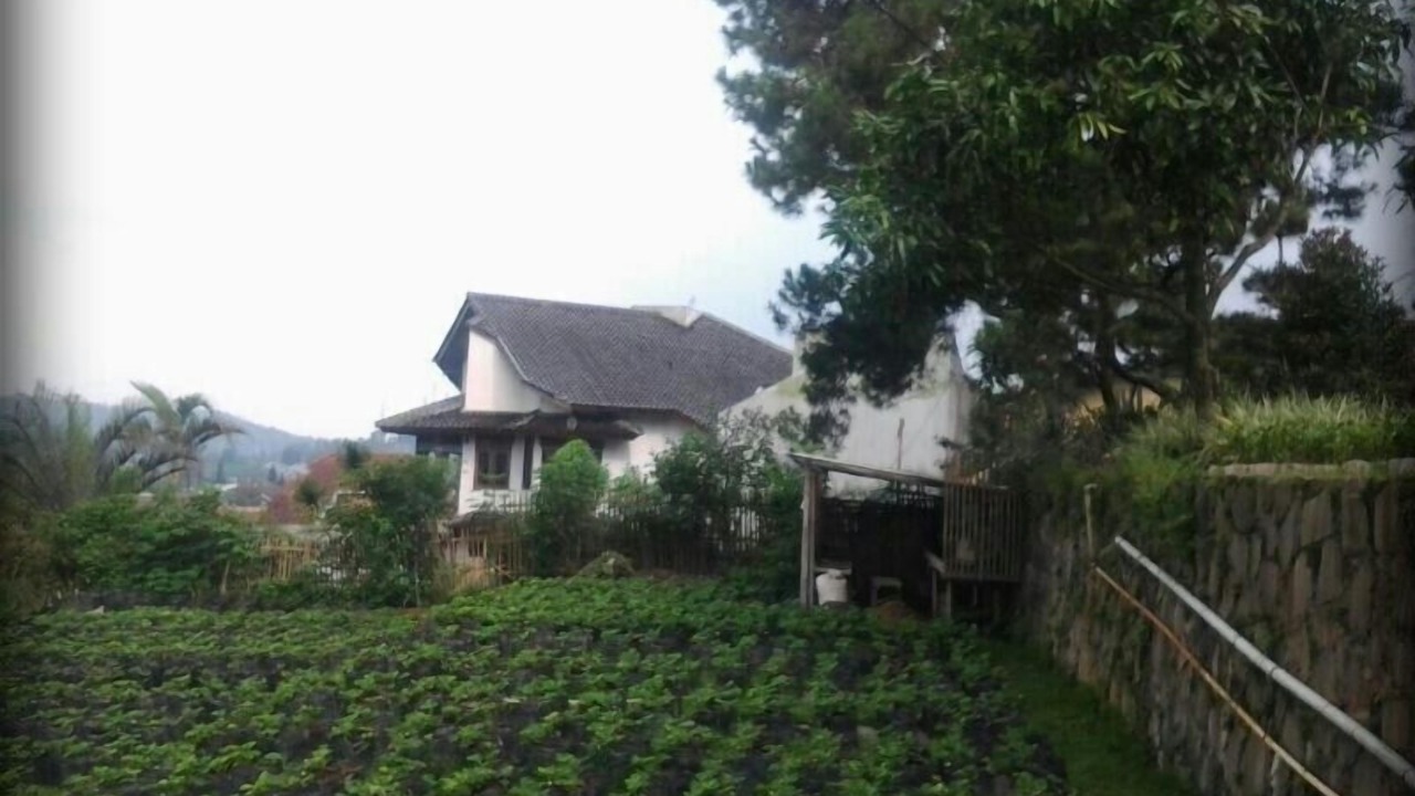 Photo of Others in Parongpong