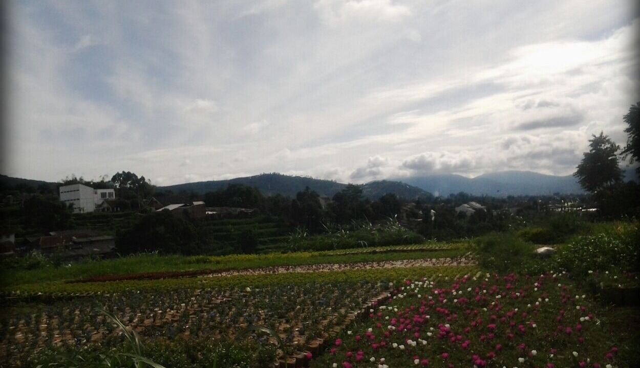 Photo of Others in Parongpong