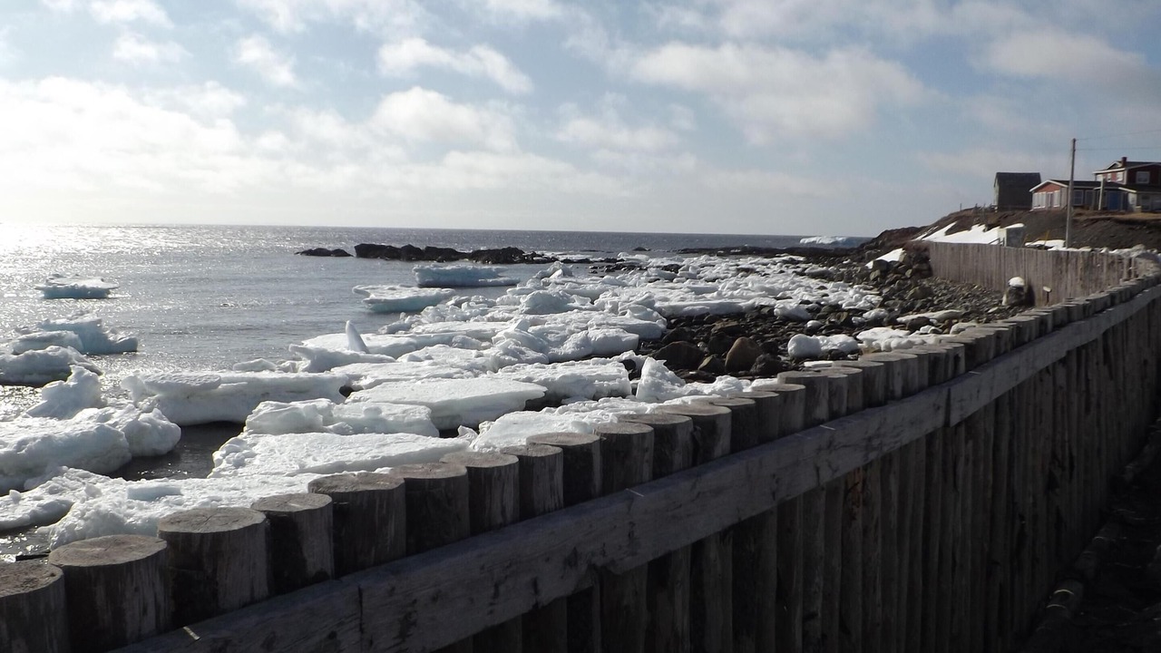 Photo of Others in Bonavista