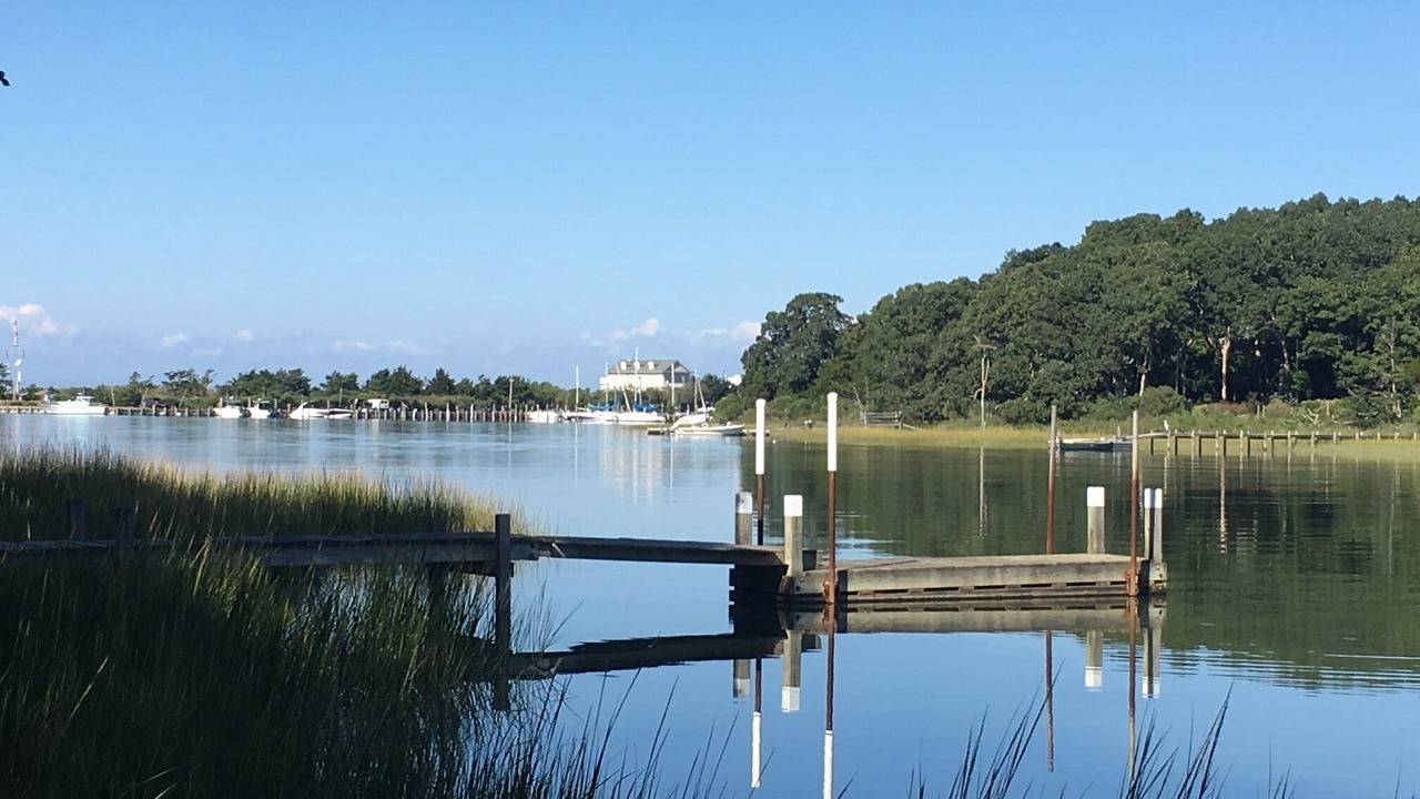 Photo of Others in Lion Head Beach