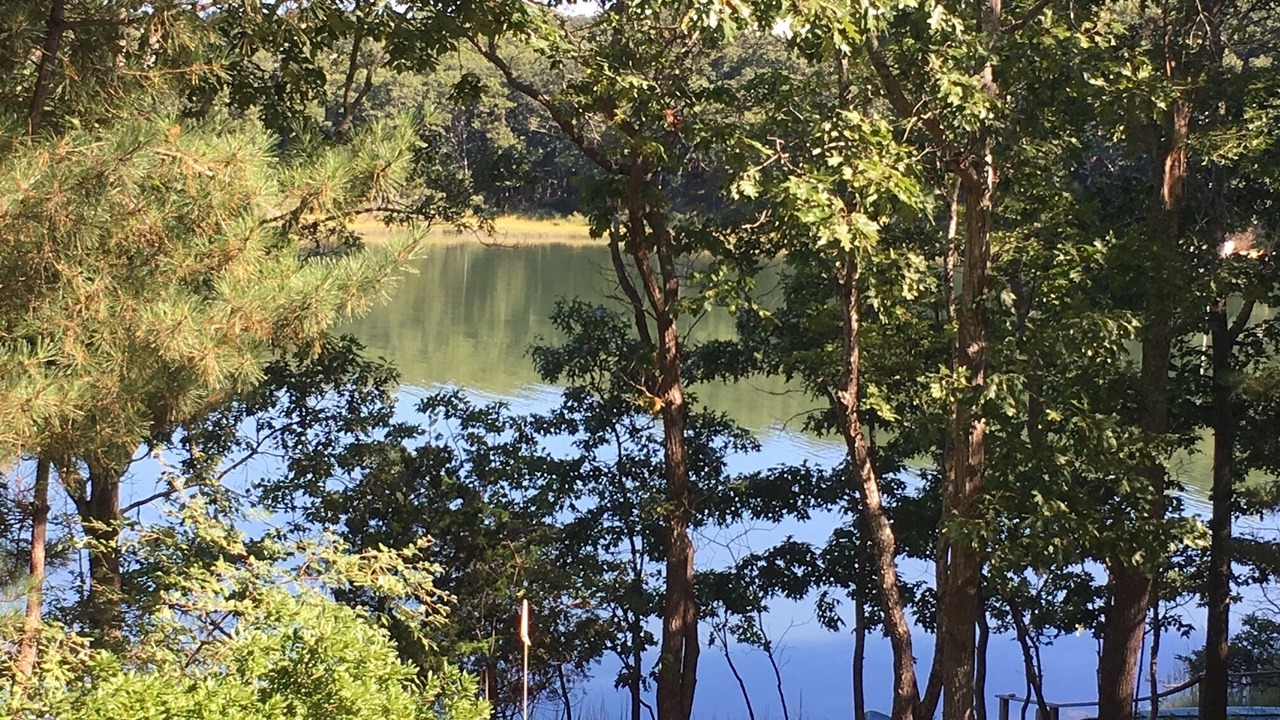 Photo of Others in Lion Head Beach