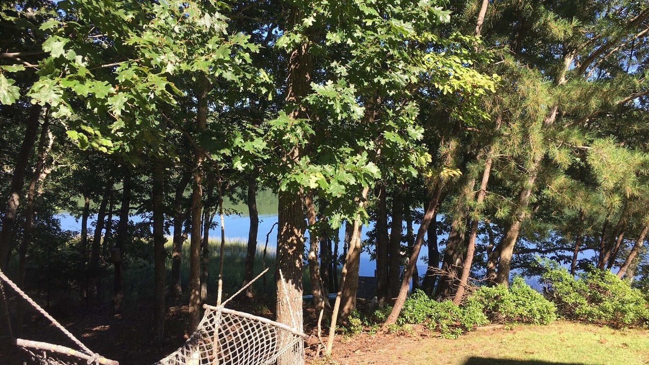 Photo of Others in Lion Head Beach