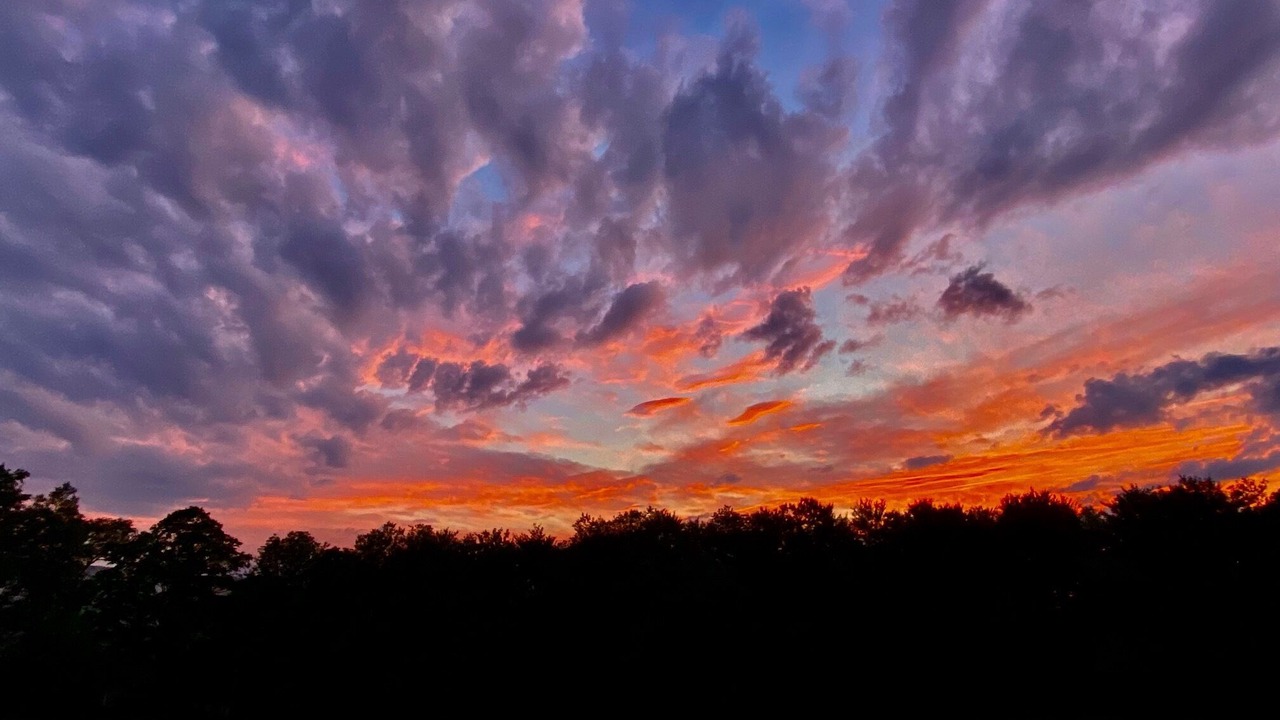 Photo of Others in Damascus